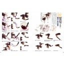 Уроки изображения цветов и птиц в суйбокуга (суми-э): Новый мир туши и цвета