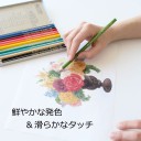 Набор цветных карандашей Color Pencil NQ от Tombow [кейс; 12 цветов]