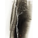 Куяма Кадзуэ. Путешествие туши: Ветер, деревья и свет – Артбук /Современное суйбокуга. Избранное/