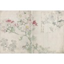 Дзэсин Сибата (1807–1891): Зарисовки растений (Из собрания Музея Токийского Университета Искусств)