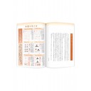 Японская каллиграфия (сёдо) для начинающих